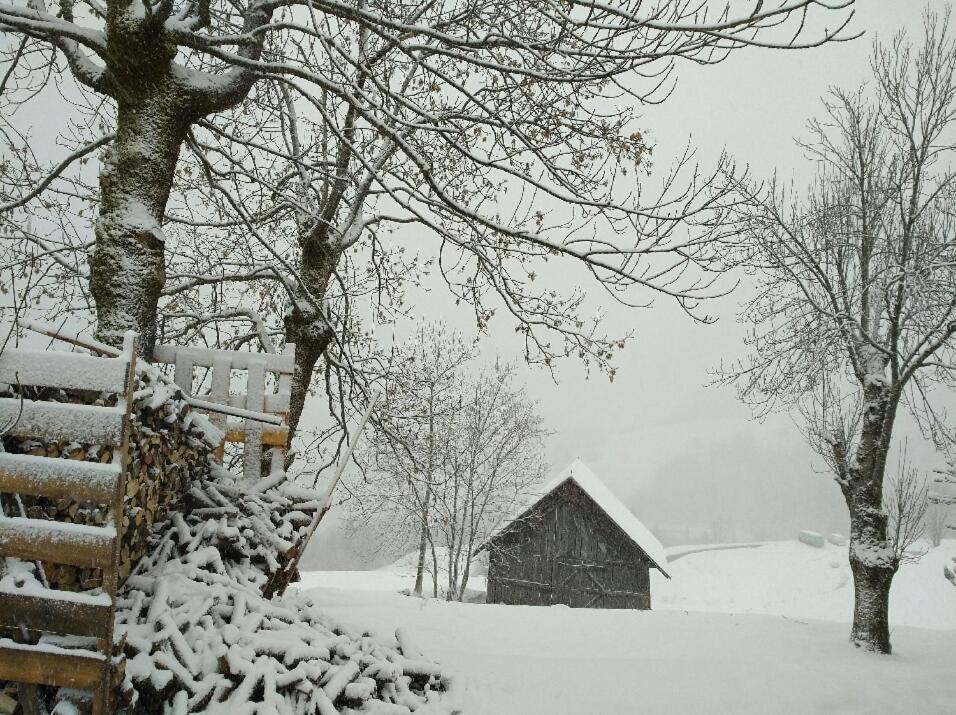 Chalet Lucie Le Cheval Noir วาลมอแรล ภายนอก รูปภาพ